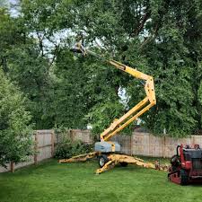 Grand Terrace, CA Tree Removal and Landscaping Services Company